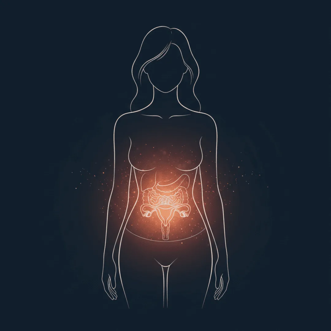 Representación visual del calor corporal interno